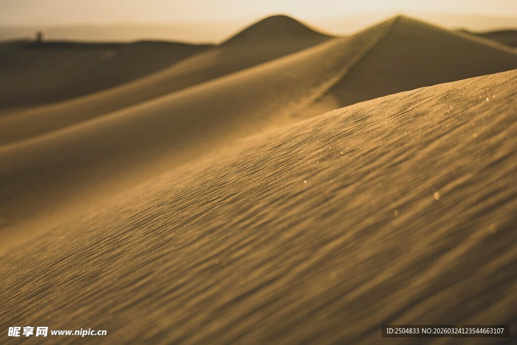 金色沙丘  漠壮丽景观