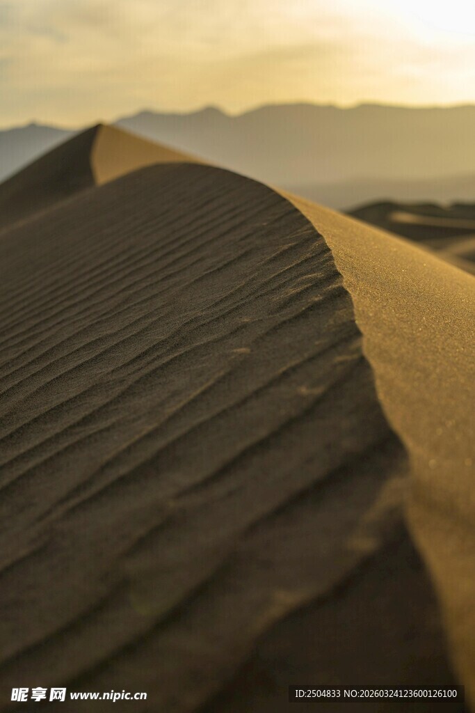  漠夕照下的壮丽沙丘