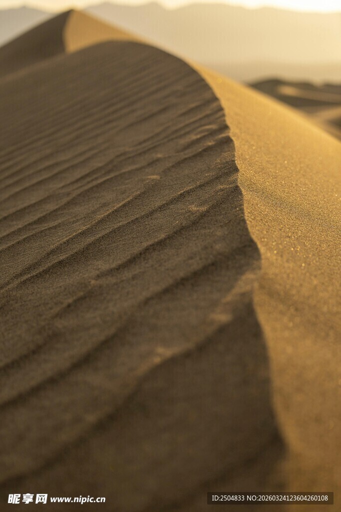  漠沙丘纹理特写