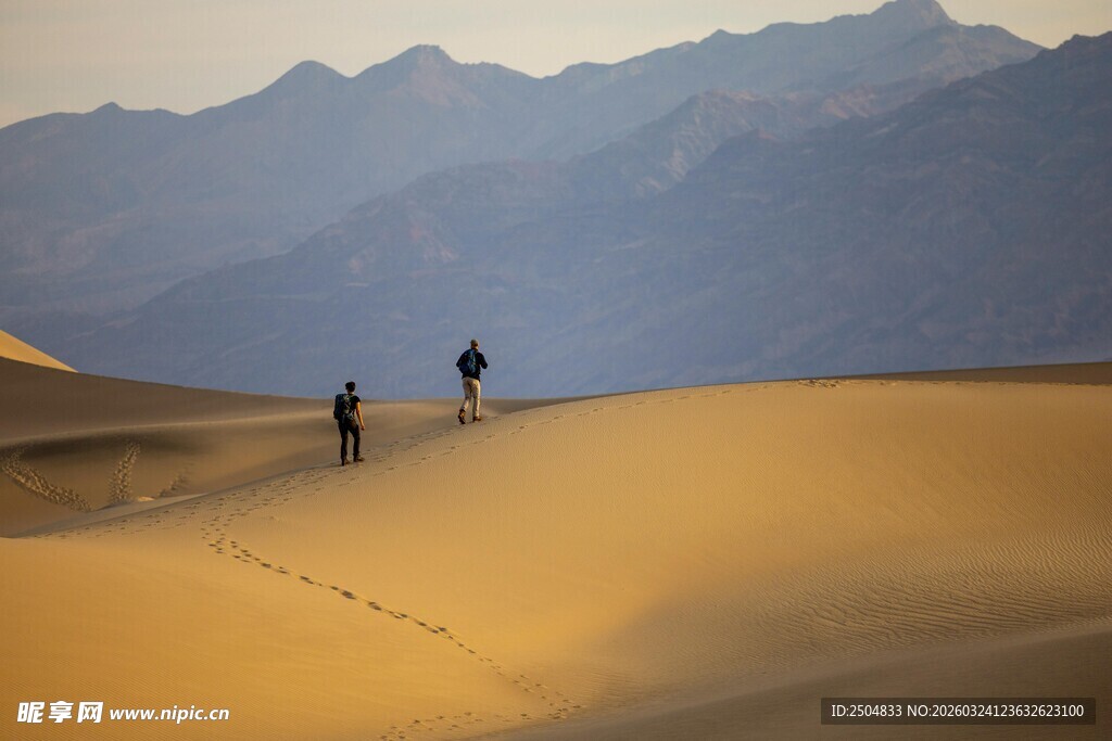  漠徒步者的壮丽旅程