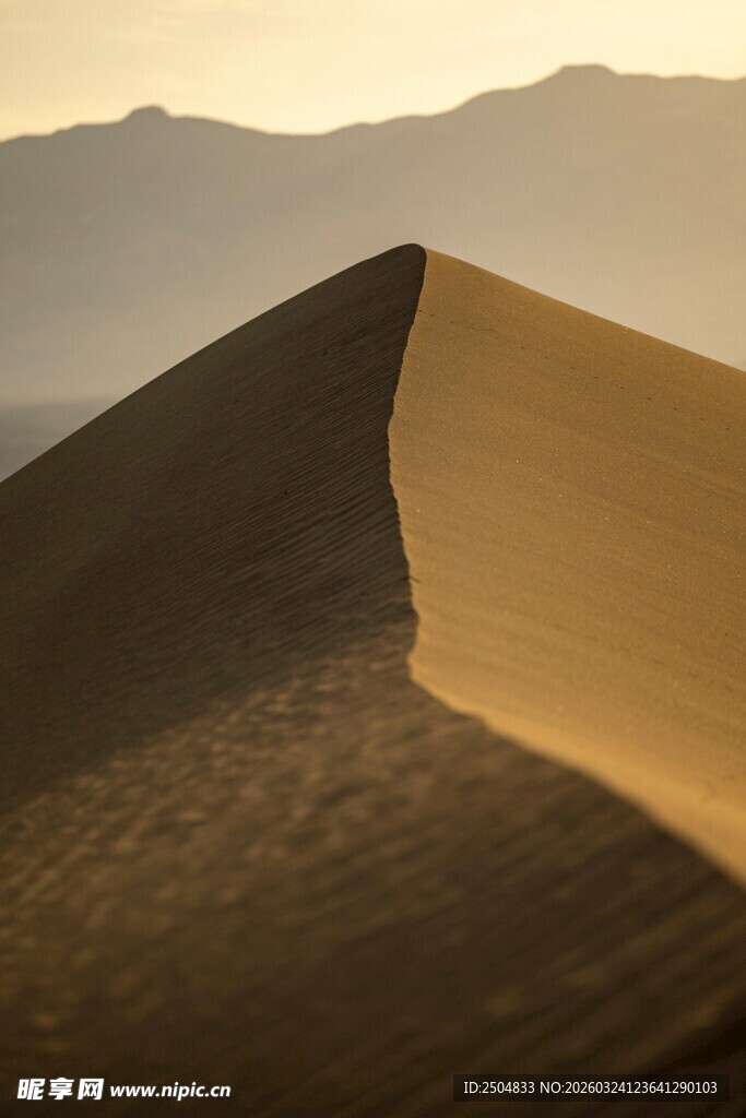  漠中的壮丽沙丘景观