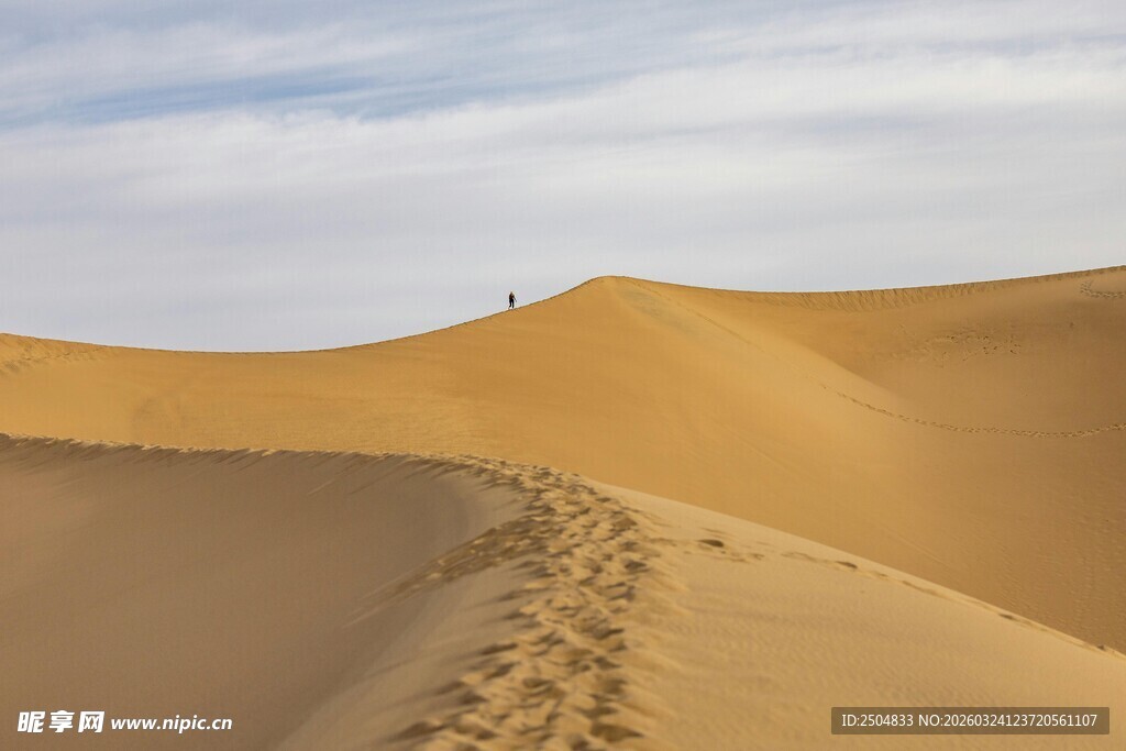  漠足迹 漫漫沙海前行路