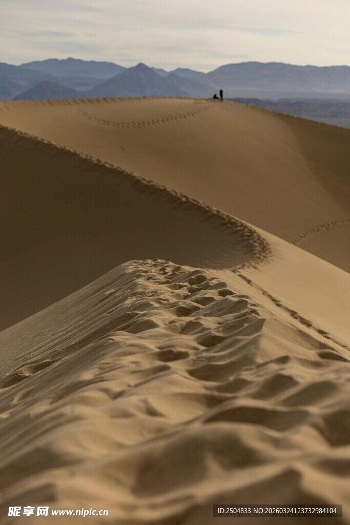  漠沙丘上的串串脚印