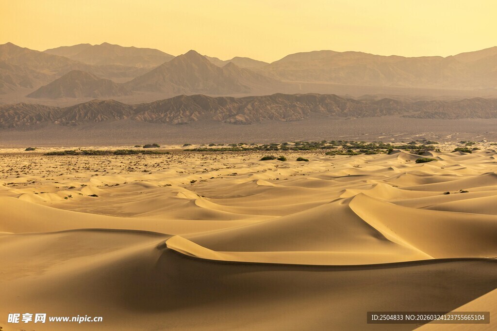  漠风光 沙丘连绵壮丽