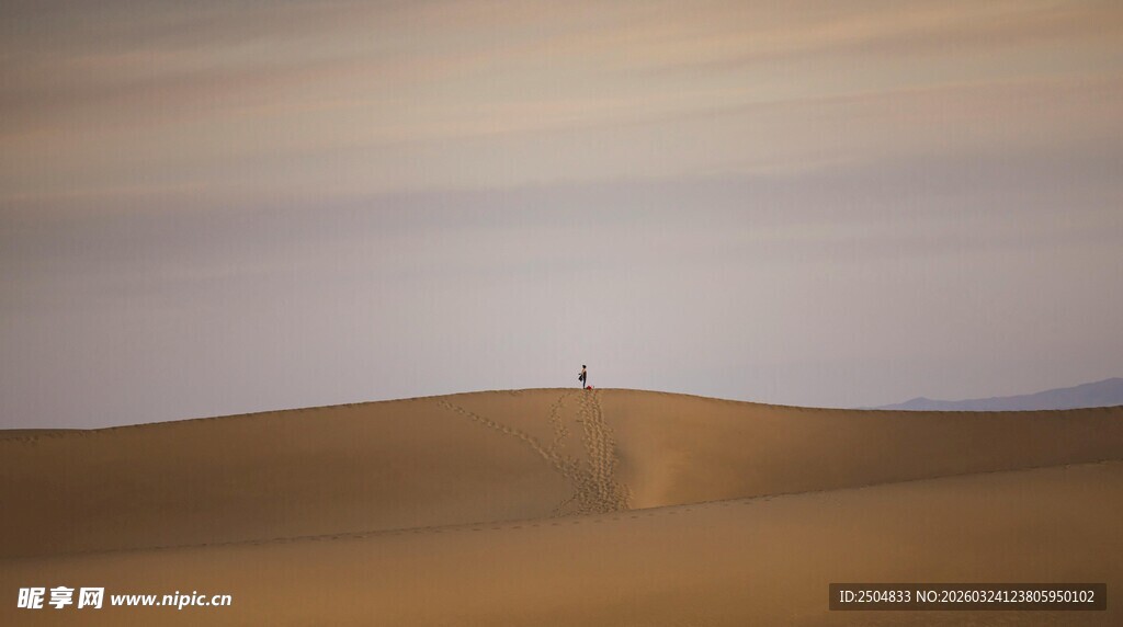  漠孤影 广袤沙海风光