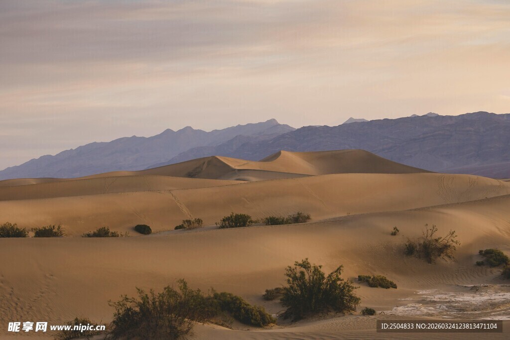  漠风光与零星植被