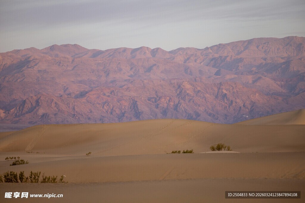  漠中的壮丽山脉景观
