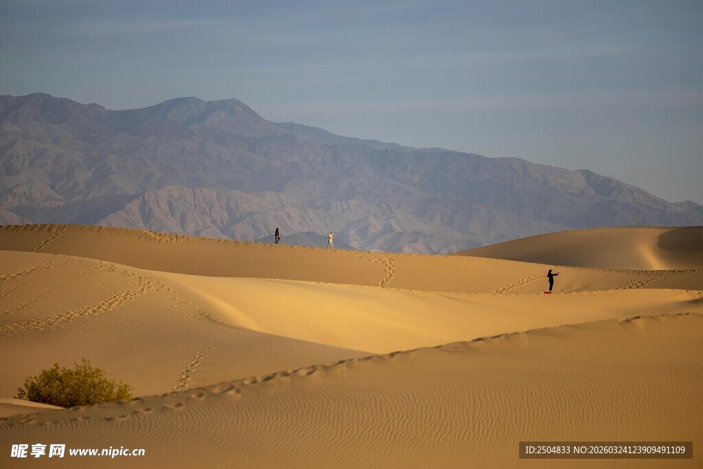  漠风光 一人漫步沙丘