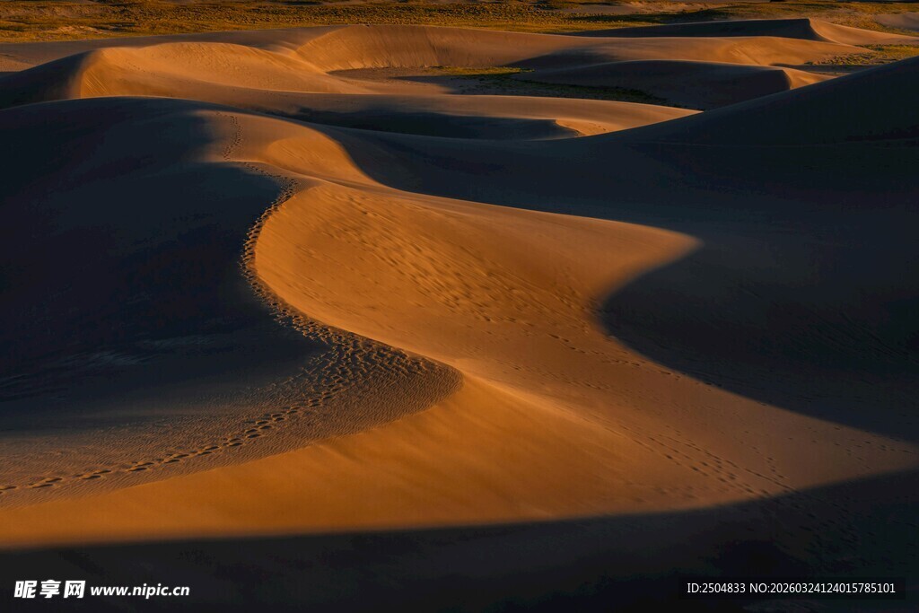 金色沙丘的迷人光影