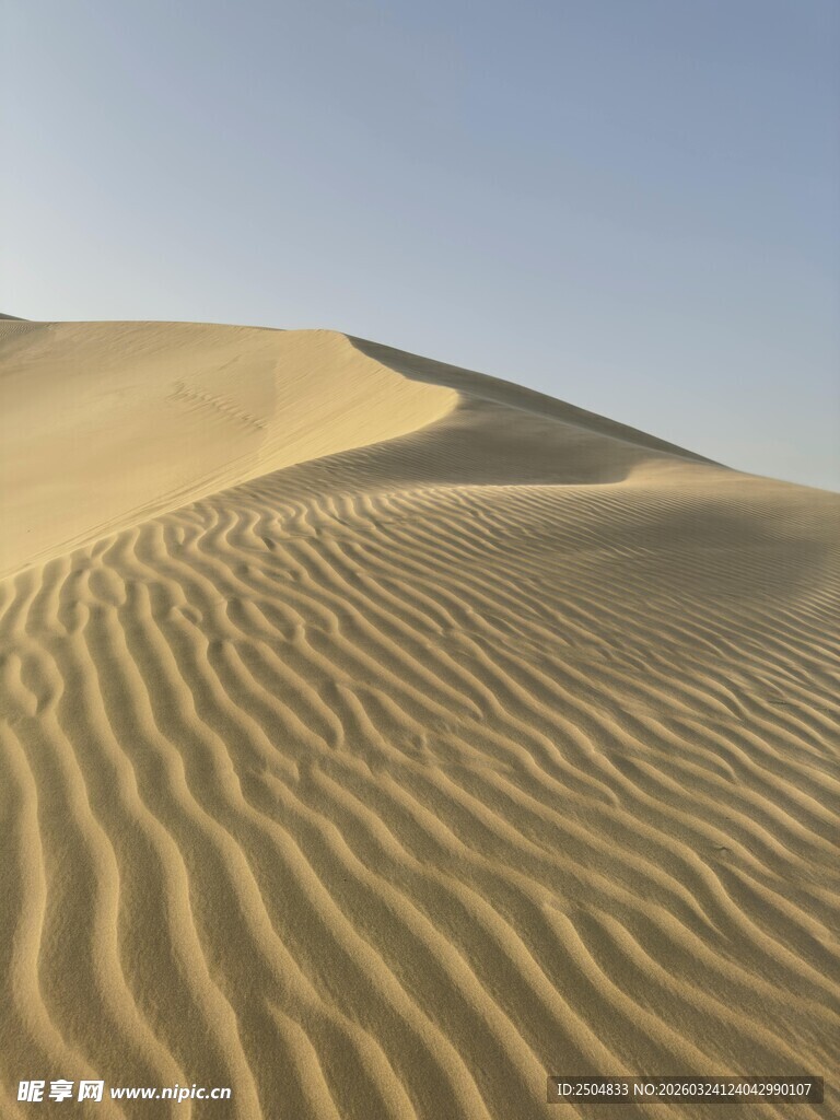  漠沙丘纹理景观