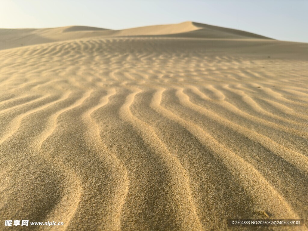  漠沙丘纹理特写