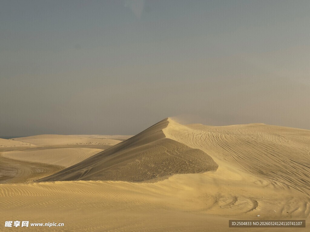  漠沙丘景观