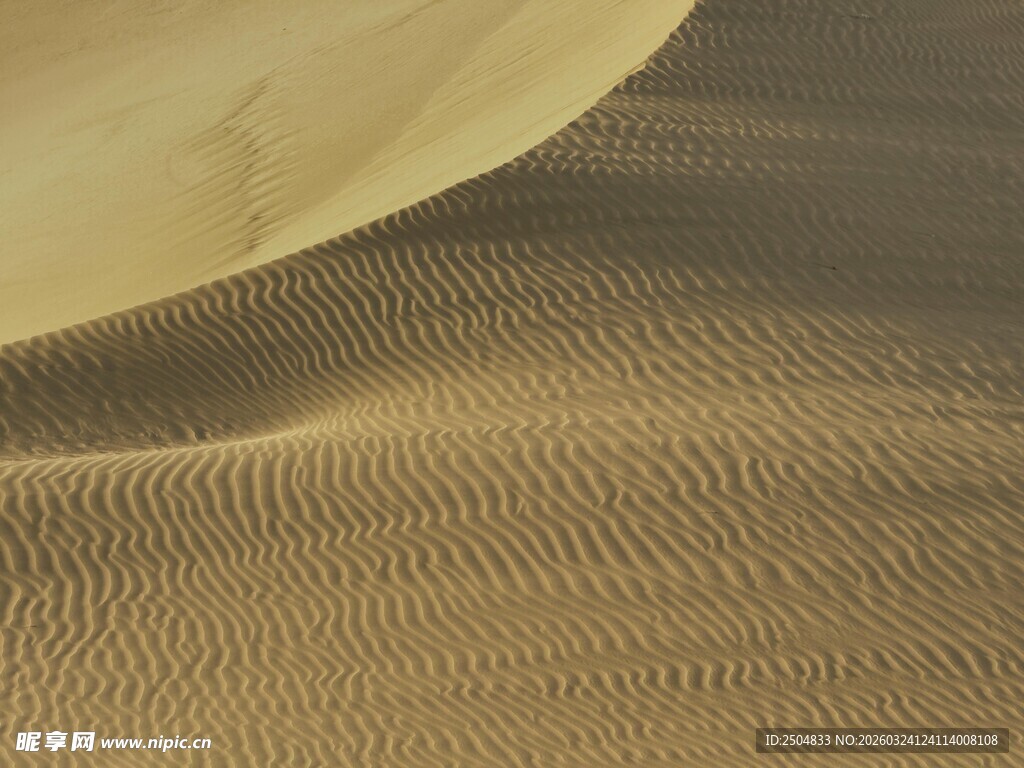  漠纹理 沙丘优美曲线