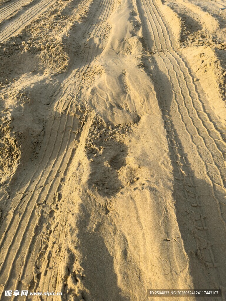 沙地上的车轮与脚印痕迹