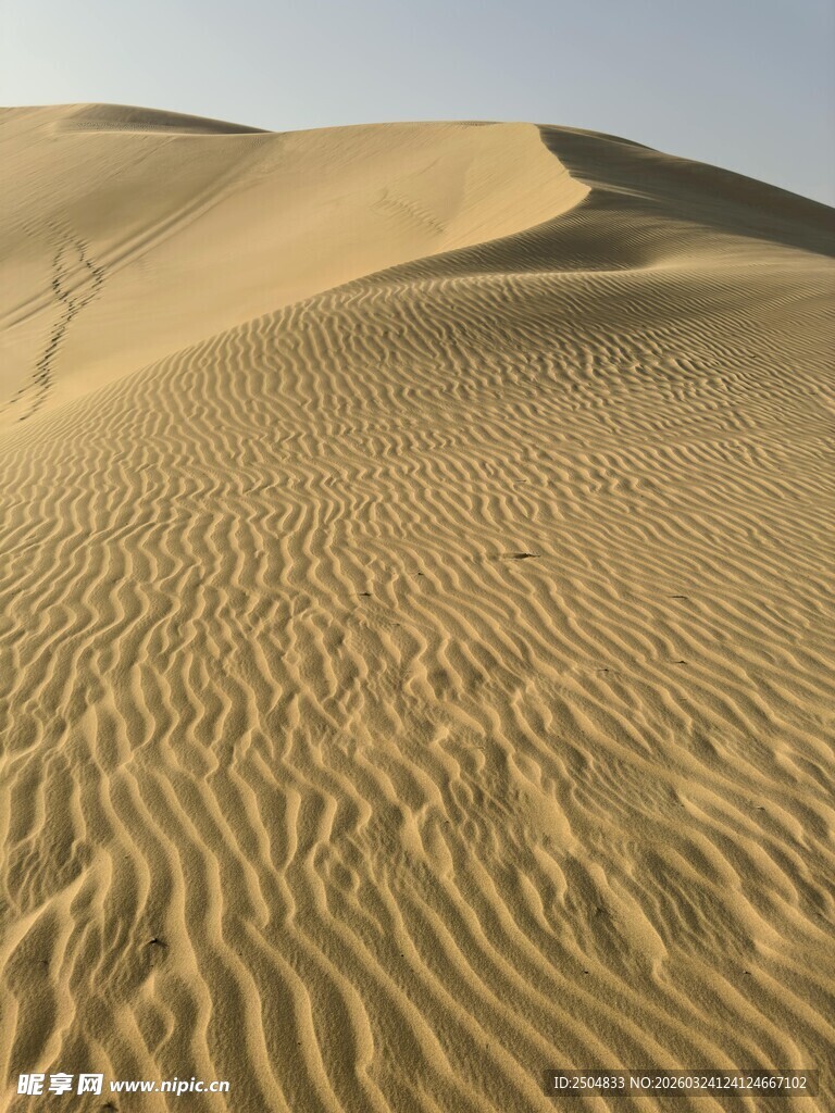 广袤 漠中的细腻沙海纹理