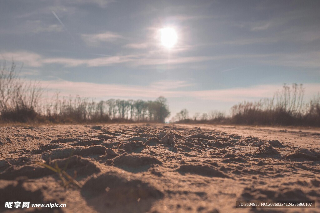 沙滩上的阳光与荒芜景象