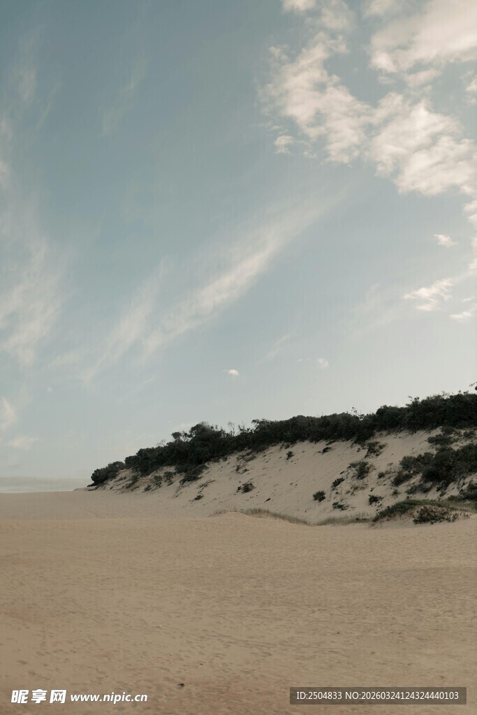 沙滩与远处植被的风景