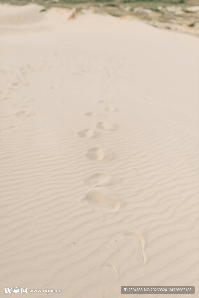 沙滩上的串串脚印