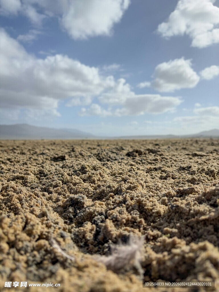 荒凉旷野的大地景观