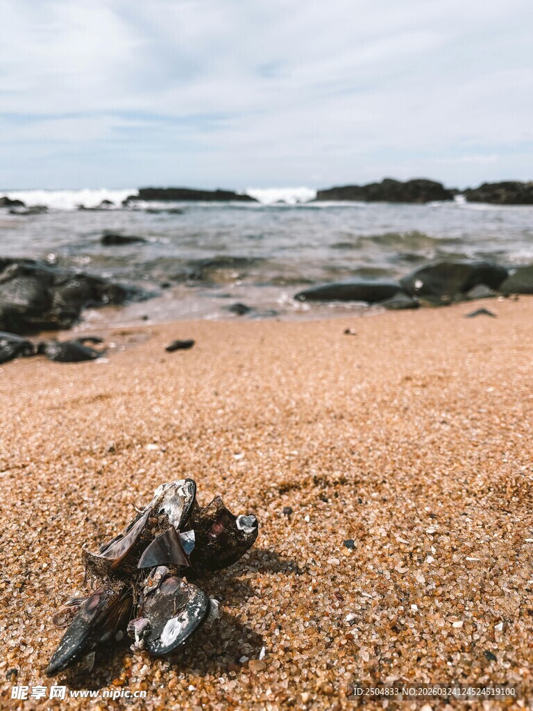 沙滩上的奇特礁石景观