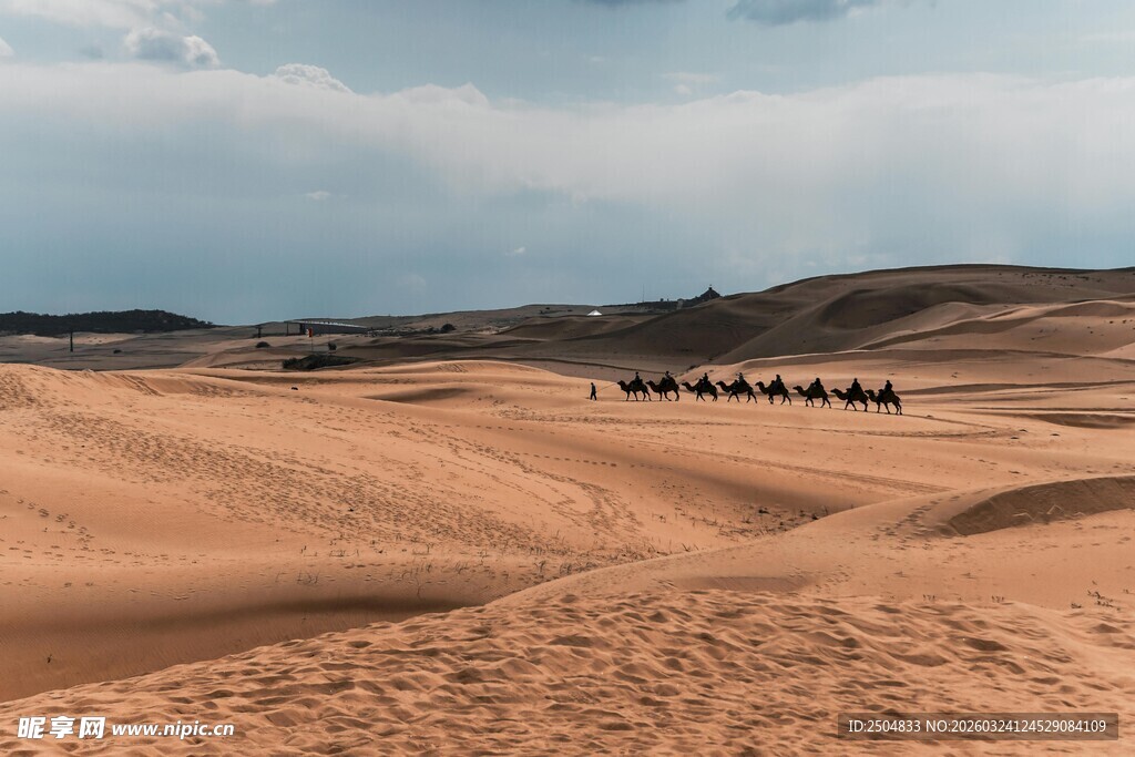  漠驼队穿行于广袤沙地