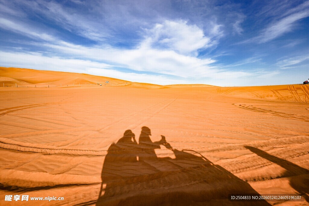  漠驼队剪影 壮美风光