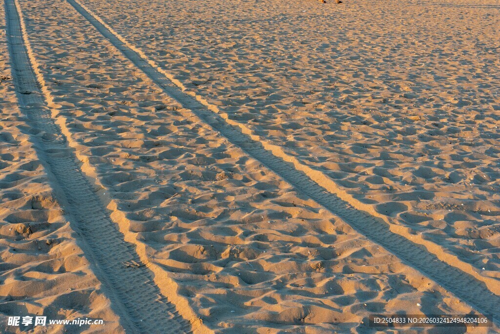  漠中的车辙轨迹