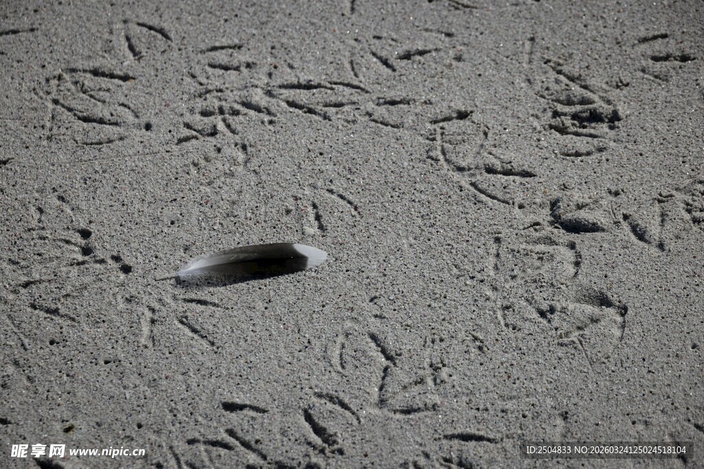 沙滩上的脚印与不明物体