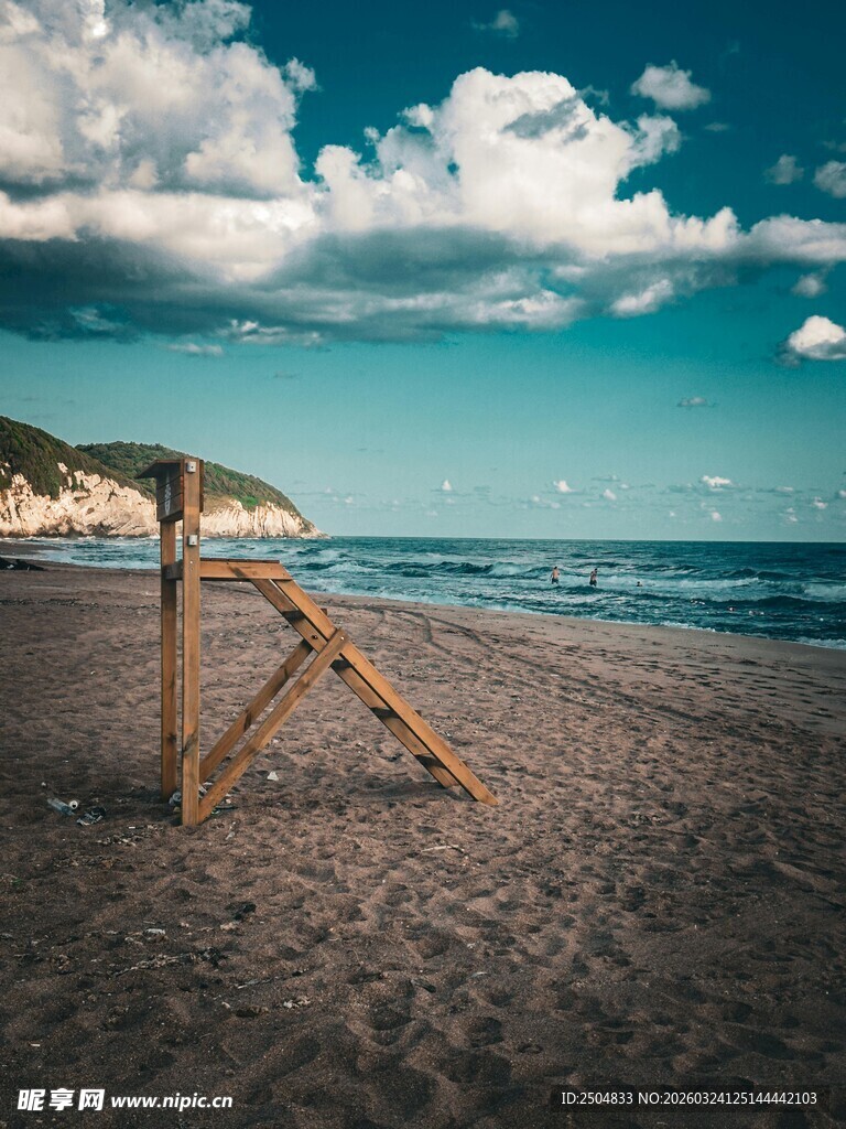 海滩上的独特枯木造型