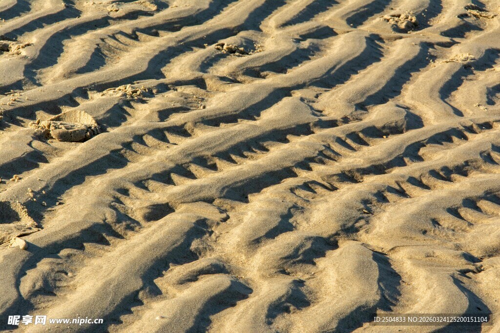 沙滩上的车辙痕迹