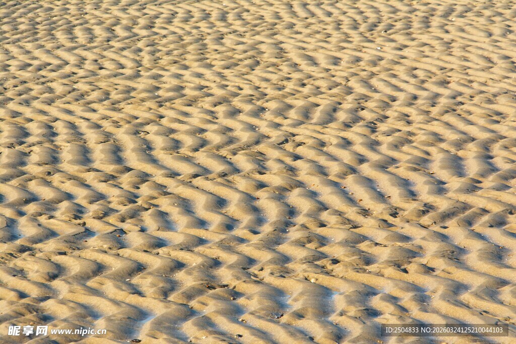  漠中的精美沙纹图案