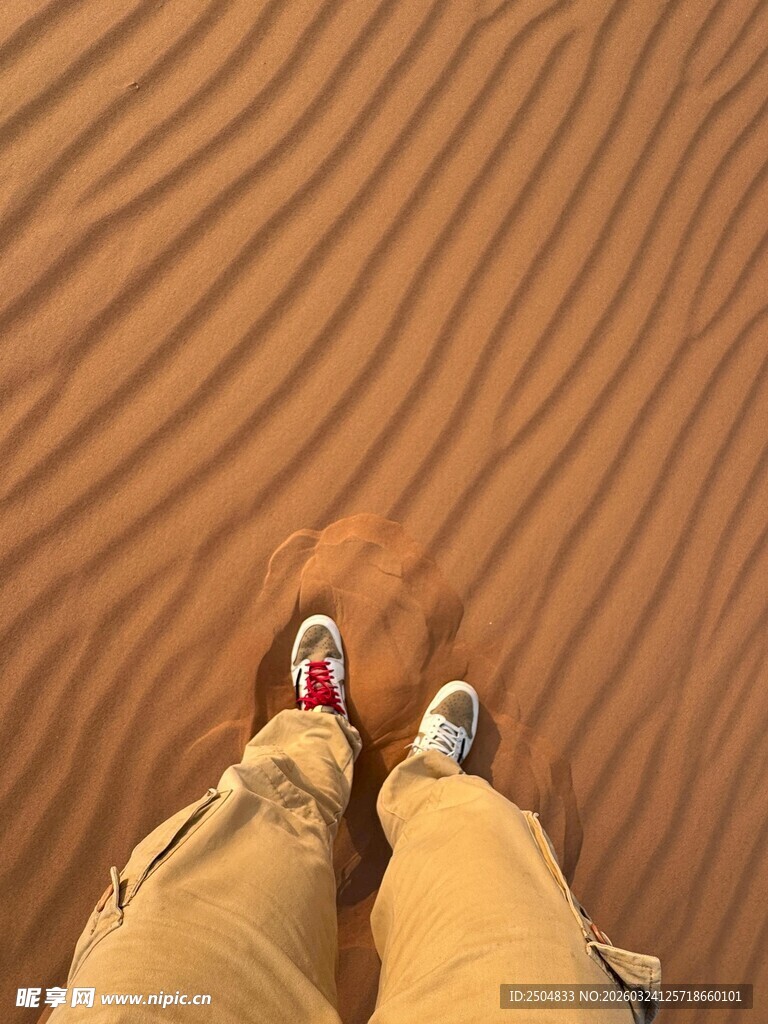 漫步 漠中的双足