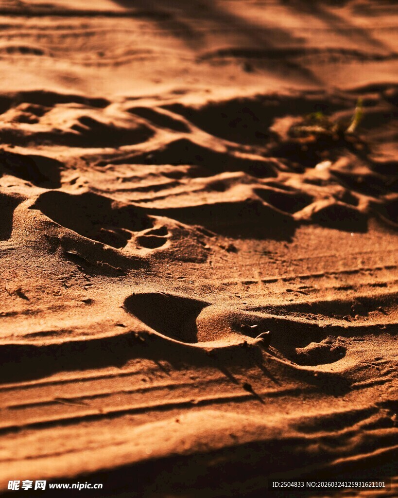 沙滩上的美丽脚印痕迹