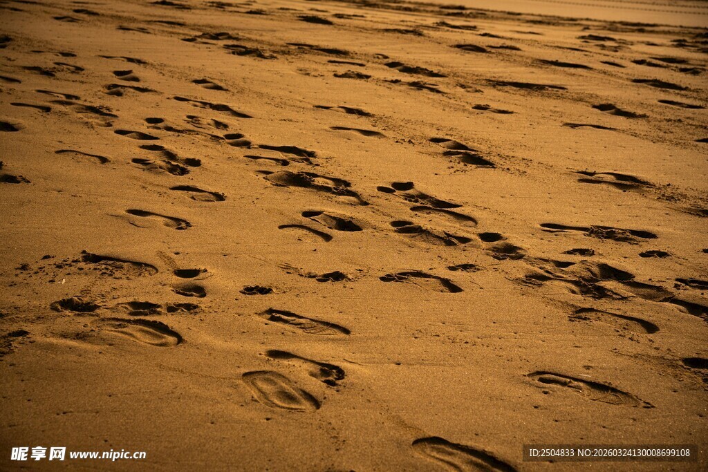 沙滩上的串串脚印