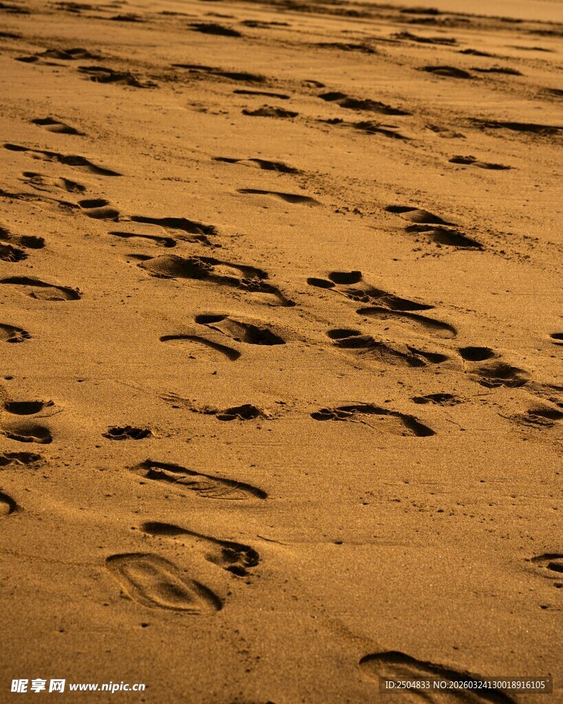 沙滩上的串串脚印
