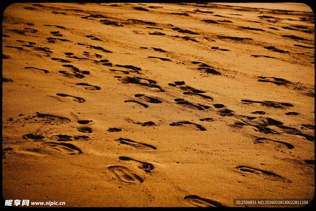  漠中的串串脚印