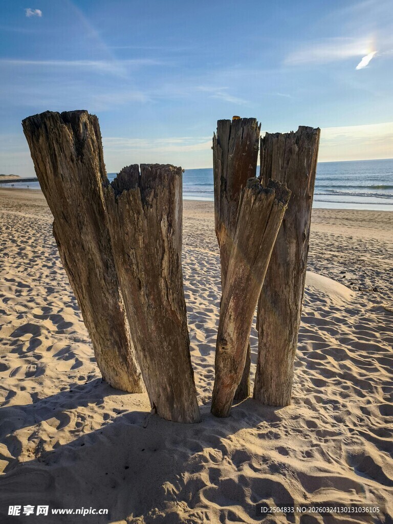 海滩上的老旧木桩