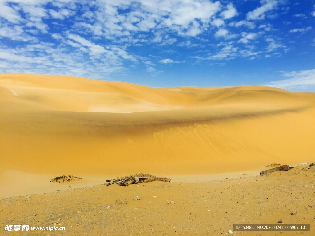 漠越野 驰骋金色沙海