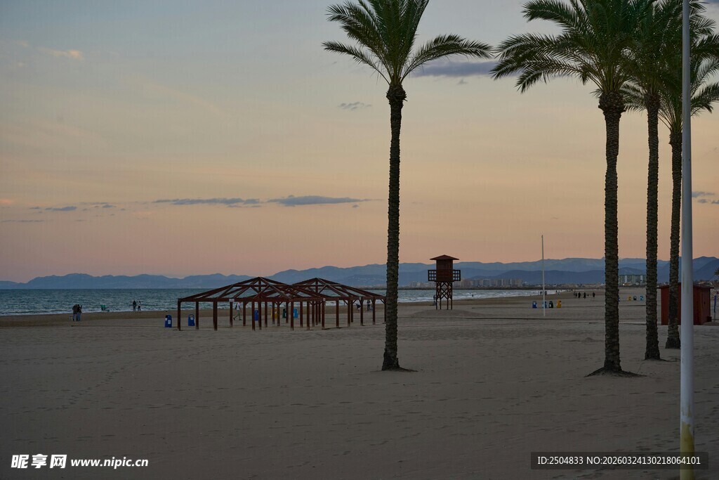 黄昏下的沙滩与棕榈树