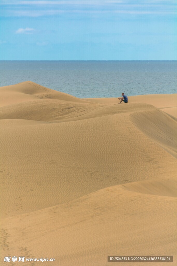  漠与海间的孤独身影