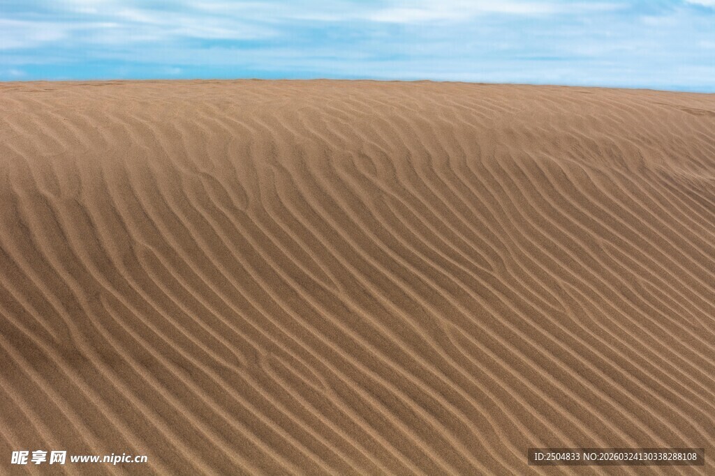 广袤 漠的迷人纹理