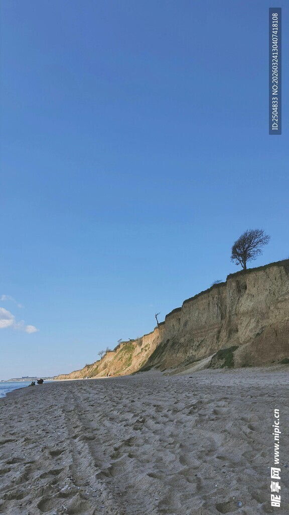 沙滩上的孤树与蓝天海岸