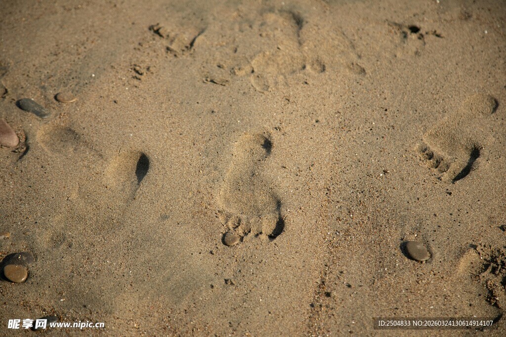 沙滩上的串串脚印