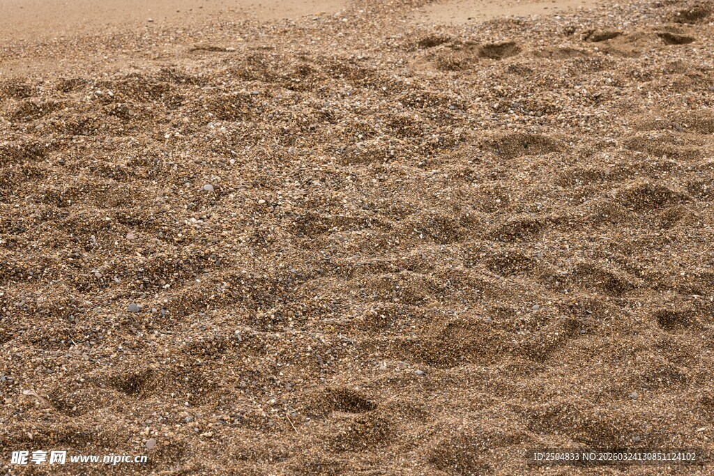 沙滩上的细腻纹理