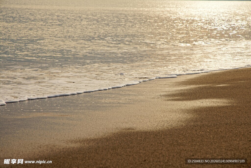 金色沙滩上的海浪美景