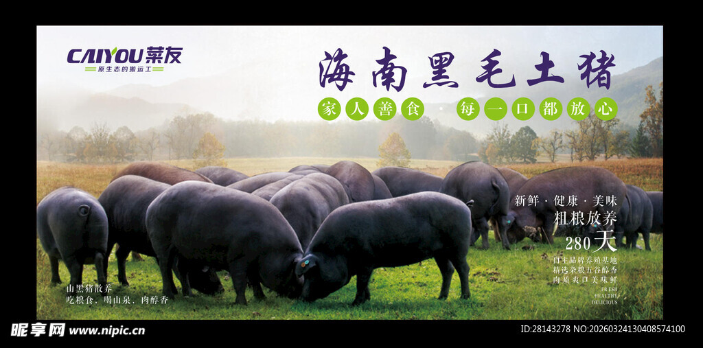 海南黑毛土猪海报
