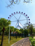 公园摩天轮风景图 春天的景色 