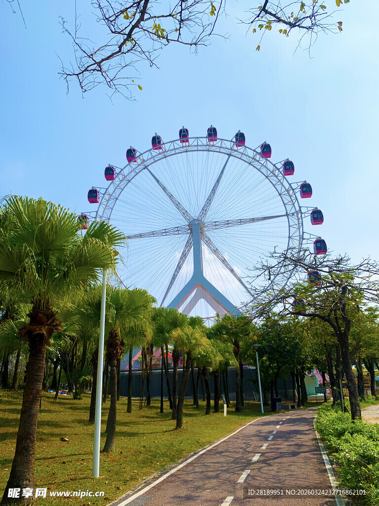 公园摩天轮风景图 春天的景色 