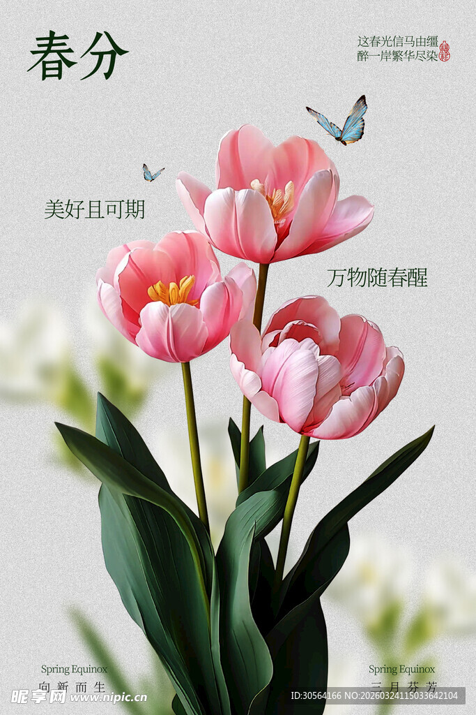 春分时节节气海报