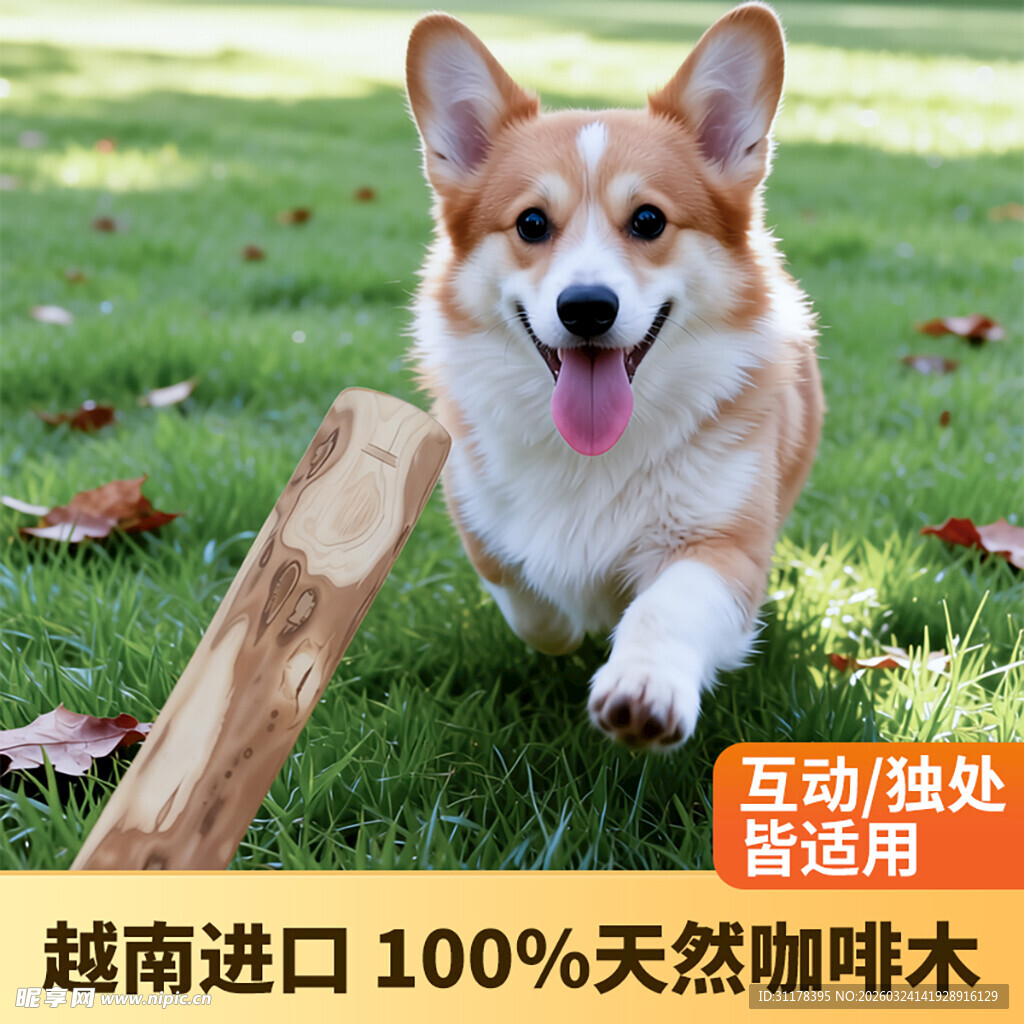 狗狗磨牙棒主图设计